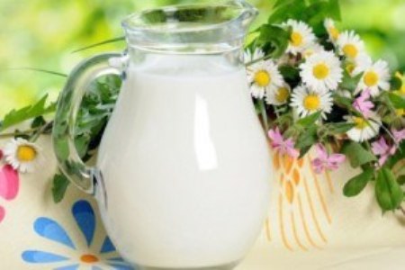 Разгрузочный день на молоке польза и вред